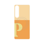 プレミアムパネル with SnapMag［ オリジナル - initial two tone - P orange ］