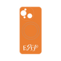 プレミアムパネル with SnapMag［ オリジナル - ESFP エンターテイナー - アルファベット - オレンジ ］