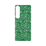 プレミアムパネル with SnapMag［ ペイズリー - Green ］