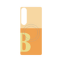 プレミアムパネル with SnapMag［ オリジナル - initial two tone - B orange ］