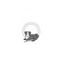 プレミアムパネル with SnapMag［ オリジナル - CASEPLAYイヌ - border collie ］