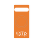 プレミアムパネル with SnapMag［ オリジナル - ESTP 起業家 - アルファベット - オレンジ ］