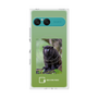 プレミアムスクエアケース with SnapMag［ Green Future Project - Black-mantled Tamarin ］