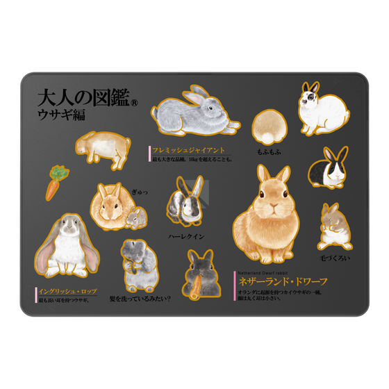 LAVIE SOL着せ替えケース［ 大人の図鑑 - ウサギ編 ］