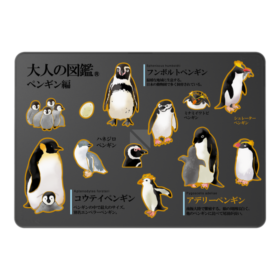 LAVIE SOL着せ替えケース［ 大人の図鑑 - ペンギン編 ］