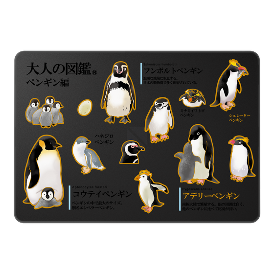 LAVIE SOL着せ替えケース［ 大人の図鑑 - ペンギン編 ］