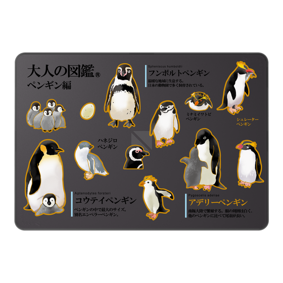 LAVIE SOL着せ替えケース［ 大人の図鑑 - ペンギン編 ］