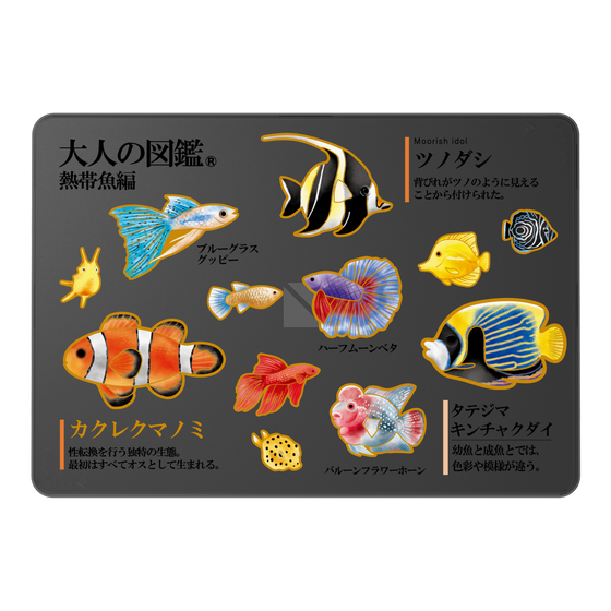 LAVIE SOL着せ替えケース［ 大人の図鑑 - 熱帯魚編 ］