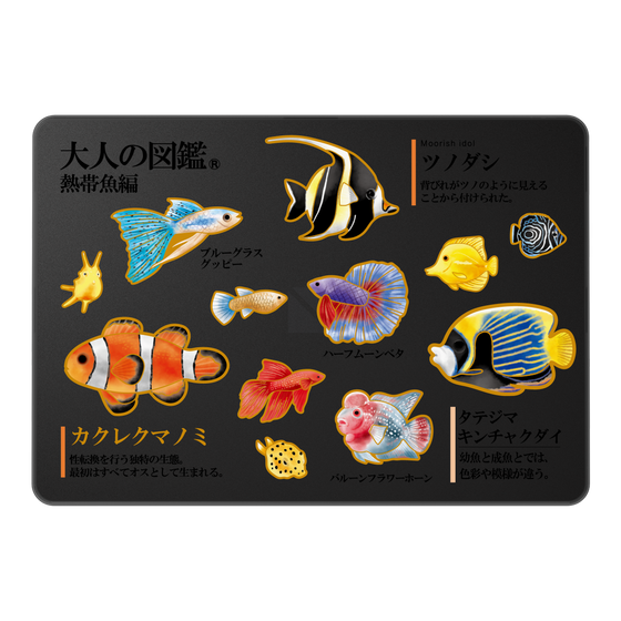LAVIE SOL着せ替えケース［ 大人の図鑑 - 熱帯魚編 ］