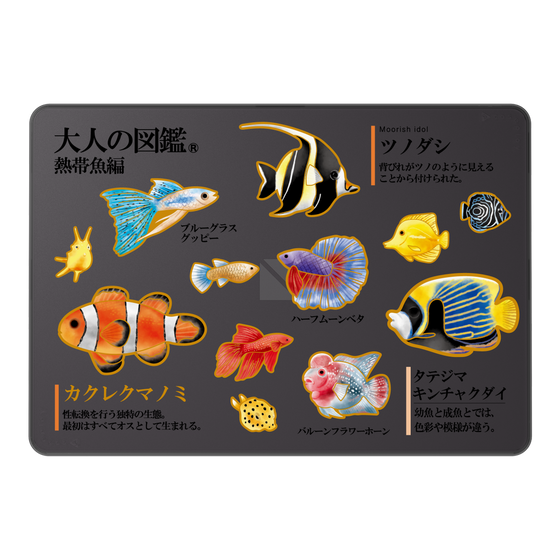 LAVIE SOL着せ替えケース［ 大人の図鑑 - 熱帯魚編 ］