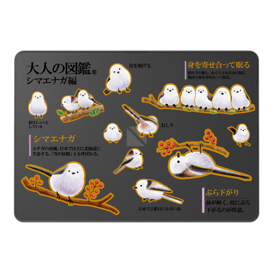 LAVIE SOL着せ替えケース［ 大人の図鑑 - シマエナガ編 ］