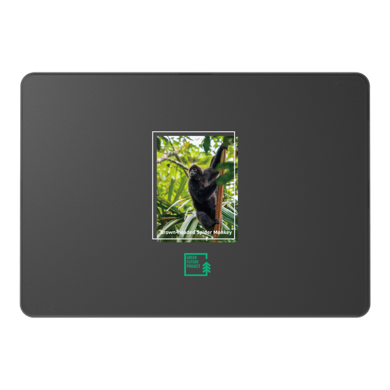 LAVIE SOL着せ替えケース［ Green Future Project - Brown-headed Spider Monkey ］