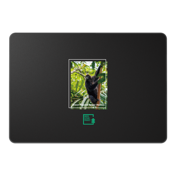 LAVIE SOL着せ替えケース［ Green Future Project - Brown-headed Spider Monkey ］