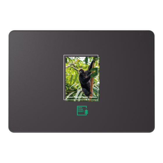 LAVIE SOL着せ替えケース［ Green Future Project - Brown-headed Spider Monkey ］