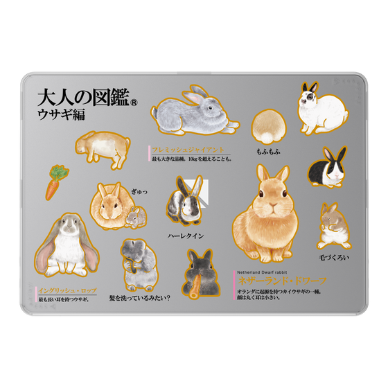 LAVIE SOL着せ替えケース［ 大人の図鑑 - ウサギ編 ］