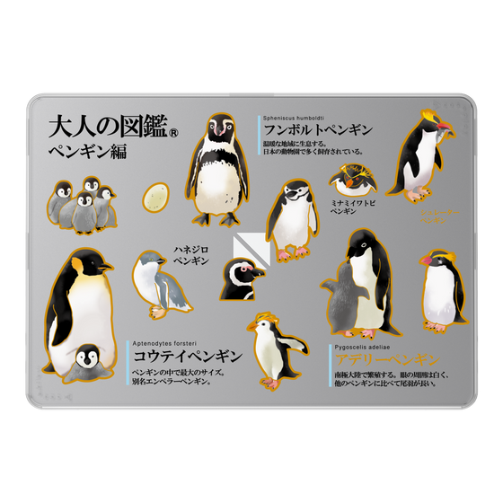 LAVIE SOL着せ替えケース［ 大人の図鑑 - ペンギン編 ］