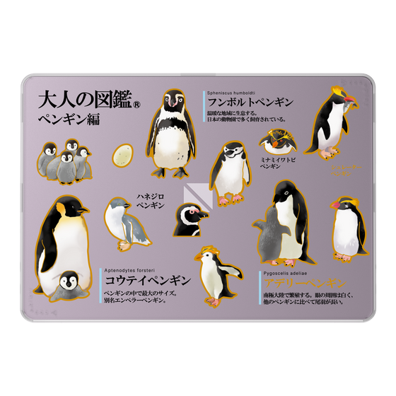 LAVIE SOL着せ替えケース［ 大人の図鑑 - ペンギン編 ］