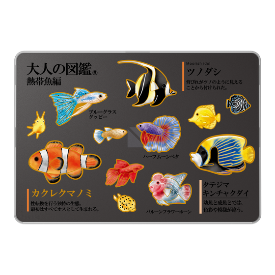 LAVIE SOL着せ替えケース［ 大人の図鑑 - 熱帯魚編 ］