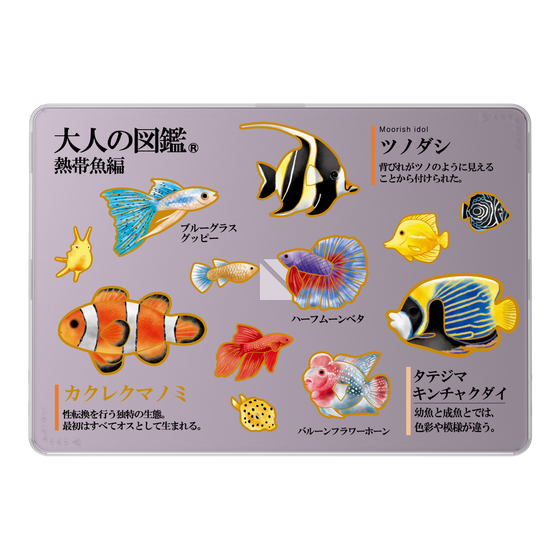 LAVIE SOL着せ替えケース［ 大人の図鑑 - 熱帯魚編 ］