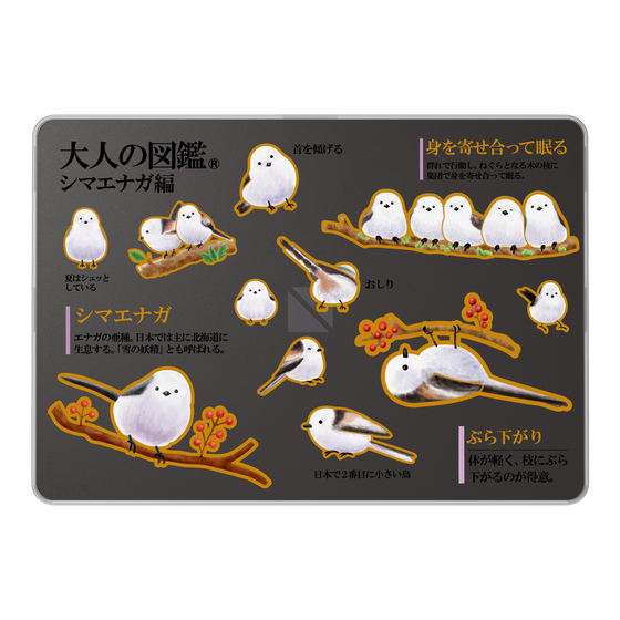 LAVIE SOL着せ替えケース［ 大人の図鑑 - シマエナガ編 ］
