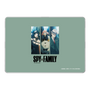LAVIE SOL着せ替えケース［ SPY×FAMILY - ビジュアル2 ］