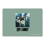 LAVIE SOL着せ替えケース［ SPY×FAMILY - ビジュアル2 ］