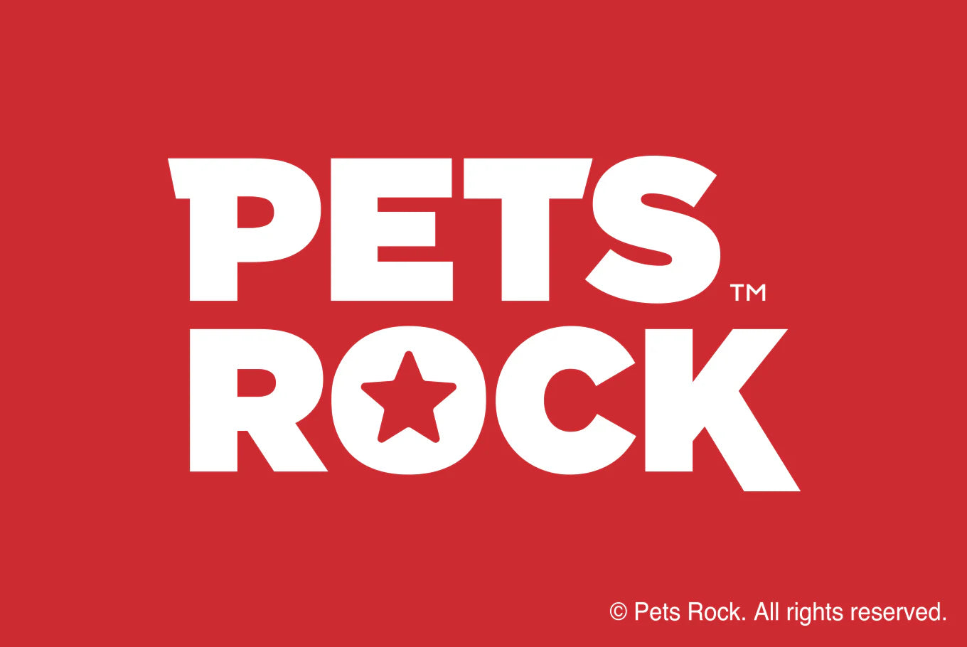 PETS ROCK