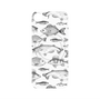 プレミアムパネル with MagSafe［ Coexist No.3 - White ］