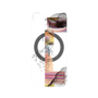 プレミアムパネル with MagSafe［ merry ］