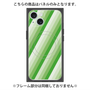 プレミアムパネル with MagSafe［ Middle Stripe - Green ］