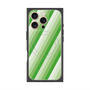 プレミアムパネル with MagSafe［ Middle Stripe - Green ］
