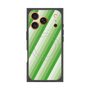 プレミアムパネル with MagSafe［ Middle Stripe - Green ］