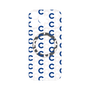 プレミアムパネル with MagSafe［ オリジナル - CASEPLAYイニシャル総柄 - ネイビー ］