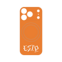 プレミアムパネル with MagSafe［ オリジナル - ESTP 起業家 - アルファベット - オレンジ ］