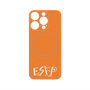プレミアムパネル with MagSafe［ オリジナル - ESFP エンターテイナー - アルファベット - オレンジ ］