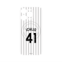 プレミアムパネル with MagSafe［ 千葉ロッテマリーンズ - #41 ICHIJO ］