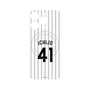 プレミアムパネル with MagSafe［ 千葉ロッテマリーンズ - #41 ICHIJO ］