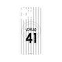 プレミアムパネル with MagSafe［ 千葉ロッテマリーンズ - #41 ICHIJO ］