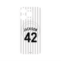 プレミアムパネル with MagSafe［ 千葉ロッテマリーンズ - #42 JACKSON ］