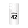 プレミアムパネル with MagSafe［ 千葉ロッテマリーンズ - #42 JACKSON ］
