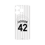 プレミアムパネル with MagSafe［ 千葉ロッテマリーンズ - #42 JACKSON ］