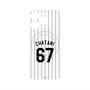 プレミアムパネル with MagSafe［ 千葉ロッテマリーンズ - #67 CHATANI ］
