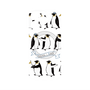 プレミアムパネル with MagSafe［ キュートペンギンマーチ ］
