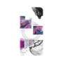 プレミアムパネル with MagSafe［ evil ］