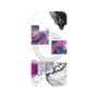 プレミアムパネル with MagSafe［ evil ］