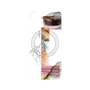 プレミアムパネル with MagSafe［ merry ］