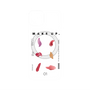 プレミアムパネル with MagSafe［ texture-B ］