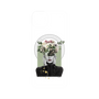 プレミアムパネル with MagSafe［ imagination. ］