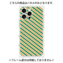 プレミアムパネル with MagSafe［ Small Stripe - Green × Orange ］
