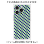 プレミアムパネル with MagSafe［ Small Stripe - Navy × Green ］